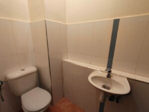 WhatsApp Image 2026-02-10 at 19.56.53