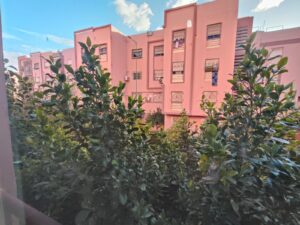 WhatsApp Image 2026-02-10 at 19.56.56 (2)