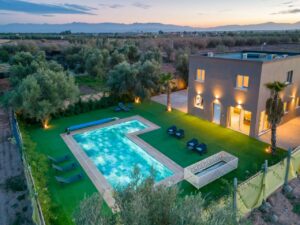 WhatsApp Image 2025-05-31 at 10.46.28