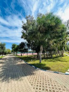 WhatsApp Image 2025-05-31 at 13.18.36(1)