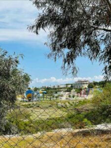 WhatsApp Image 2025-05-31 at 13.18.37(2)