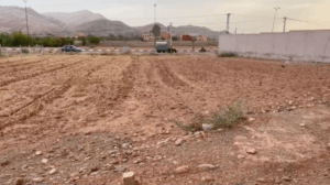 Capture d’écran 2025-07-12 à 12.23.15