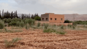 Capture d’écran 2025-07-12 à 12.23.54