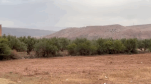 Capture d’écran 2025-07-12 à 12.24.53