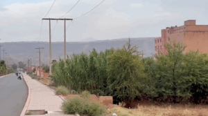 Capture d’écran 2025-07-12 à 12.25.13