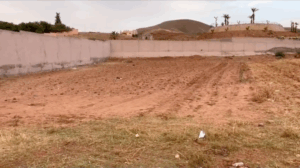 Capture d’écran 2025-07-12 à 12.26.23