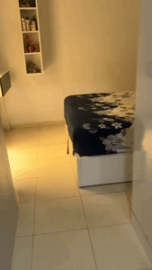 Capture d’écran 2025-07-15 à 18.29.14