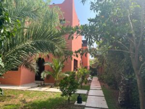 WhatsApp Image 2025-06-28 at 19.15.00 (3)