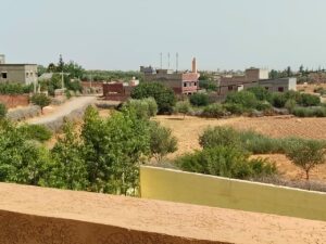 WhatsApp Image 2025-07-16 at 15.22.54