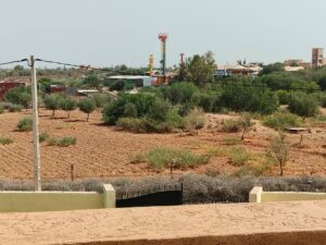 WhatsApp Image 2025-07-16 at 15.22.54(1)