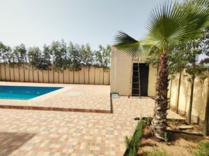 WhatsApp Image 2025-07-16 at 15.23.05(1)