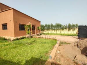 WhatsApp Image 2025-07-16 at 15.23.14