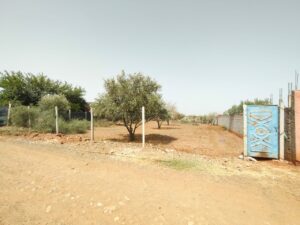 WhatsApp Image 2025-07-17 at 12.42.52