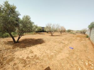 WhatsApp Image 2025-07-17 at 12.43.02