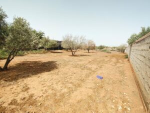 WhatsApp Image 2025-07-17 at 12.43.02(1)