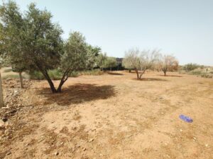 WhatsApp Image 2025-07-17 at 12.43.02(2)