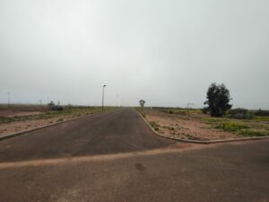 WhatsApp Image 2026-03-01 at 10.41.45 (2)