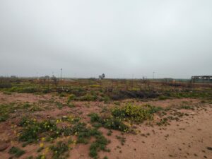 WhatsApp Image 2026-03-01 at 10.41.45