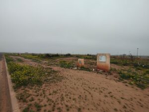 WhatsApp Image 2026-03-01 at 10.41.45 (4)