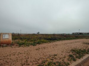 WhatsApp Image 2026-03-01 at 10.41.46 (1)