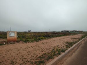 WhatsApp Image 2026-03-01 at 10.41.46