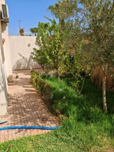 WhatsApp Image 2025-09-11 at 11.36.26 (2)