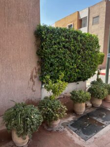 WhatsApp Image 2025-09-14 at 20.38.01 (4)