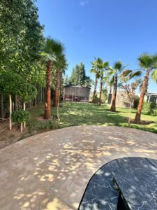 WhatsApp Image 2025-09-15 at 09.57.50