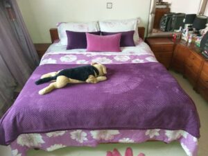 WhatsApp Image 2025-11-08 at 19.54.05