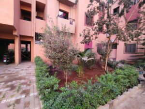 WhatsApp Image 2025-11-11 at 16.15.19