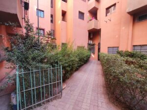 WhatsApp Image 2025-11-11 at 16.15.21