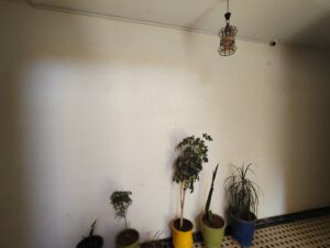 WhatsApp Image 2025-11-11 at 16.17.23 (1)