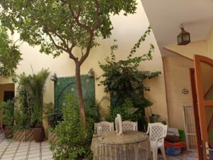 WhatsApp Image 2025-11-12 at 00.47.04