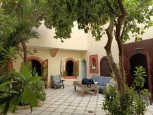 WhatsApp Image 2025-11-12 at 00.47.07