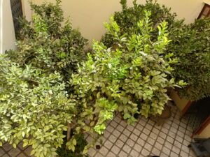 WhatsApp Image 2025-11-12 at 00.47.13