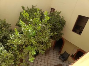 WhatsApp Image 2025-11-12 at 00.47.14 (1)