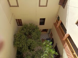 WhatsApp Image 2025-11-12 at 00.47.15 (1)