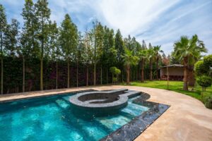 WhatsApp Image 2025-11-12 at 18.36.50 (1)