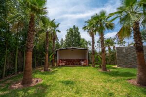 WhatsApp Image 2025-11-12 at 18.36.50 (2)