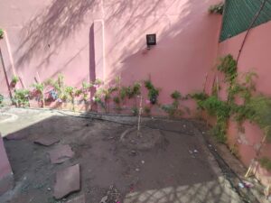 WhatsApp Image 2025-11-19 at 19.55.43 (2)