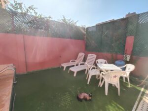 WhatsApp Image 2025-11-19 at 19.57.24