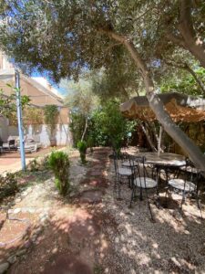 WhatsApp Image 2025-11-19 at 20.51.21 (1)