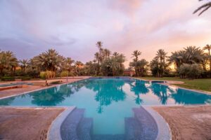 WhatsApp Image 2025-11-19 at 23.27.06 (3)