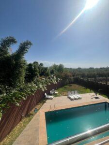 WhatsApp Image 2025-11-19 at 23.35.24 (2)