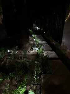 WhatsApp Image 2025-11-28 at 15.49.16 (2)