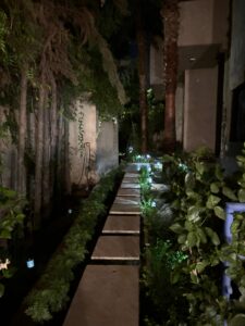 WhatsApp Image 2025-11-28 at 15.49.17