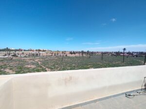 WhatsApp Image 2026-02-25 at 18.14.15