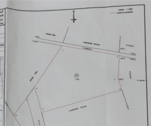 Capture d’écran 2025-12-06 à 15.20.51