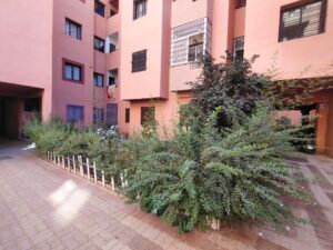 WhatsApp Image 2025-11-11 at 16.15.22