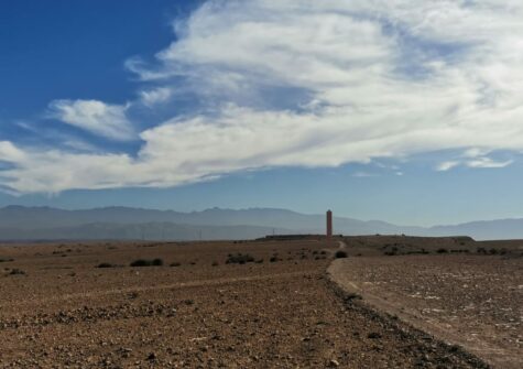 *Terrain melkiya de 5 hectares à Tameslohte